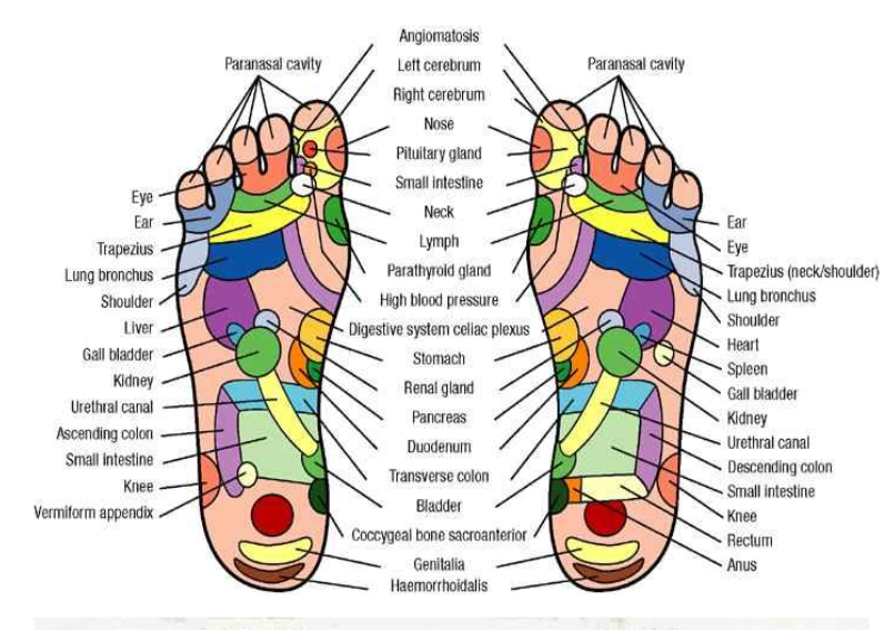Reflexology-Foot