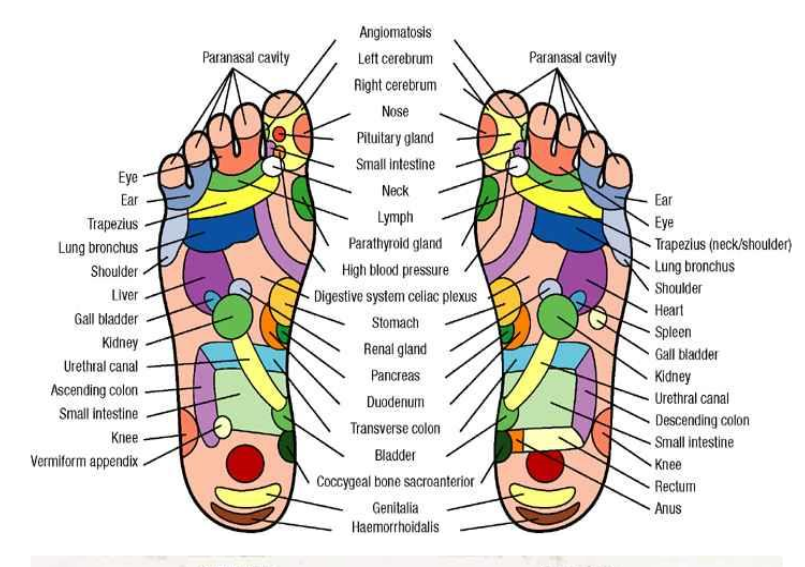 Reflexology Peregian Beach Foot Massage Organica Day Spa